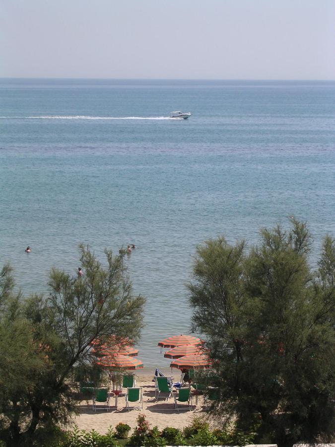Hotel Narcisi Roseto Degli Abruzzi Esterno foto