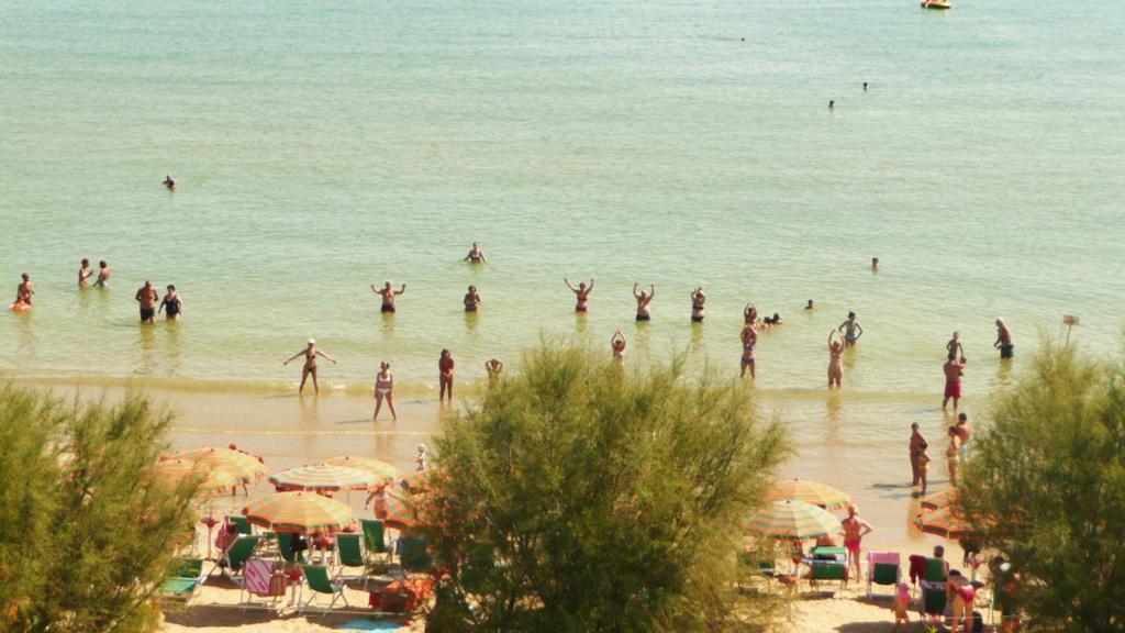 Hotel Narcisi Roseto Degli Abruzzi Esterno foto
